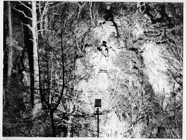 aScotsman in the woods