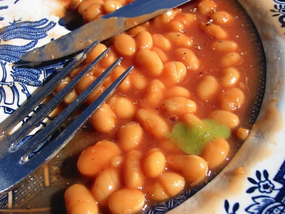 heinz beans with green hot sauce 