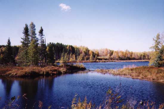 The lake from right outside the shack